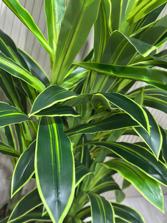 180 cm Yapay 3 Köklü Dracaena Ağaç | Gri Seramik Saksıda Gerçek Görünümlü Tropik Bitki 🌿