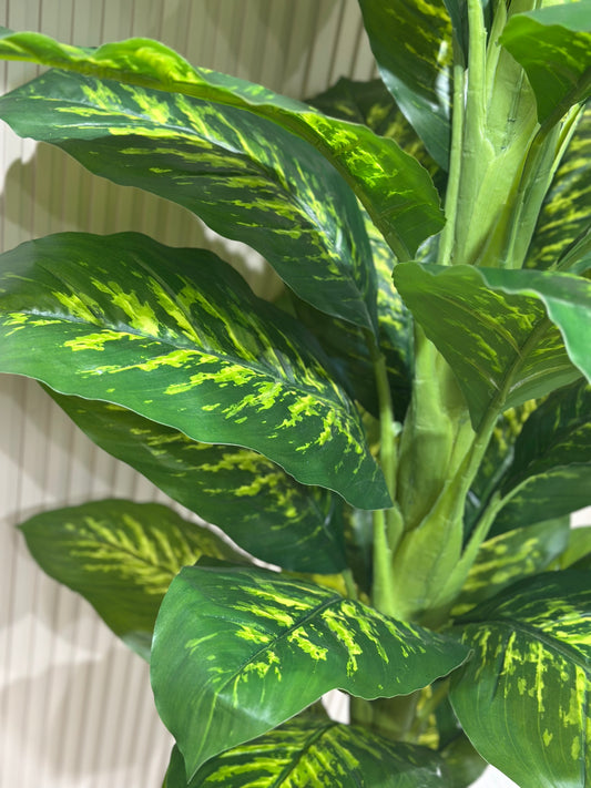 Büyük Difenbahya Bitkisi | Gerçek Görünümlü Yapay Salon Bitkisi 🌿