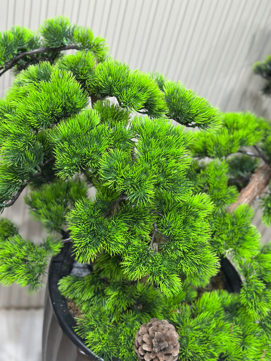 120 cm Çift Dal Bonsai Ağaç | Lüks Siyah Saksıda Gerçek Görünümlü Yapay Ağaç 🌿