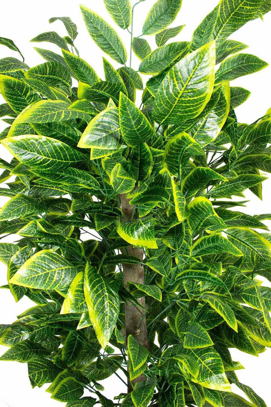 Yapay Ceviz Ağacı 180 cm – Gerçek Görünümlü İthal Dekoratif Ağaç | Premium Saksılı Model