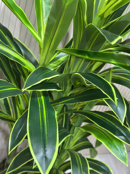 180 cm Yapay 3 Köklü Dracaena Ağaç | Gri Seramik Saksıda Gerçek Görünümlü Tropik Bitki 🌿