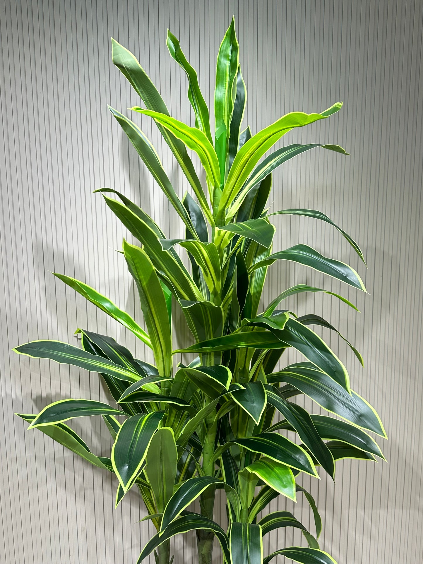 180 cm Yapay 3 Köklü Dracaena Ağaç | Gri Seramik Saksıda Gerçek Görünümlü Tropik Bitki 🌿
