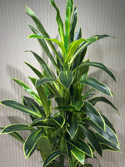 180 cm Yapay 3 Köklü Dracaena Ağaç | Gri Seramik Saksıda Gerçek Görünümlü Tropik Bitki 🌿