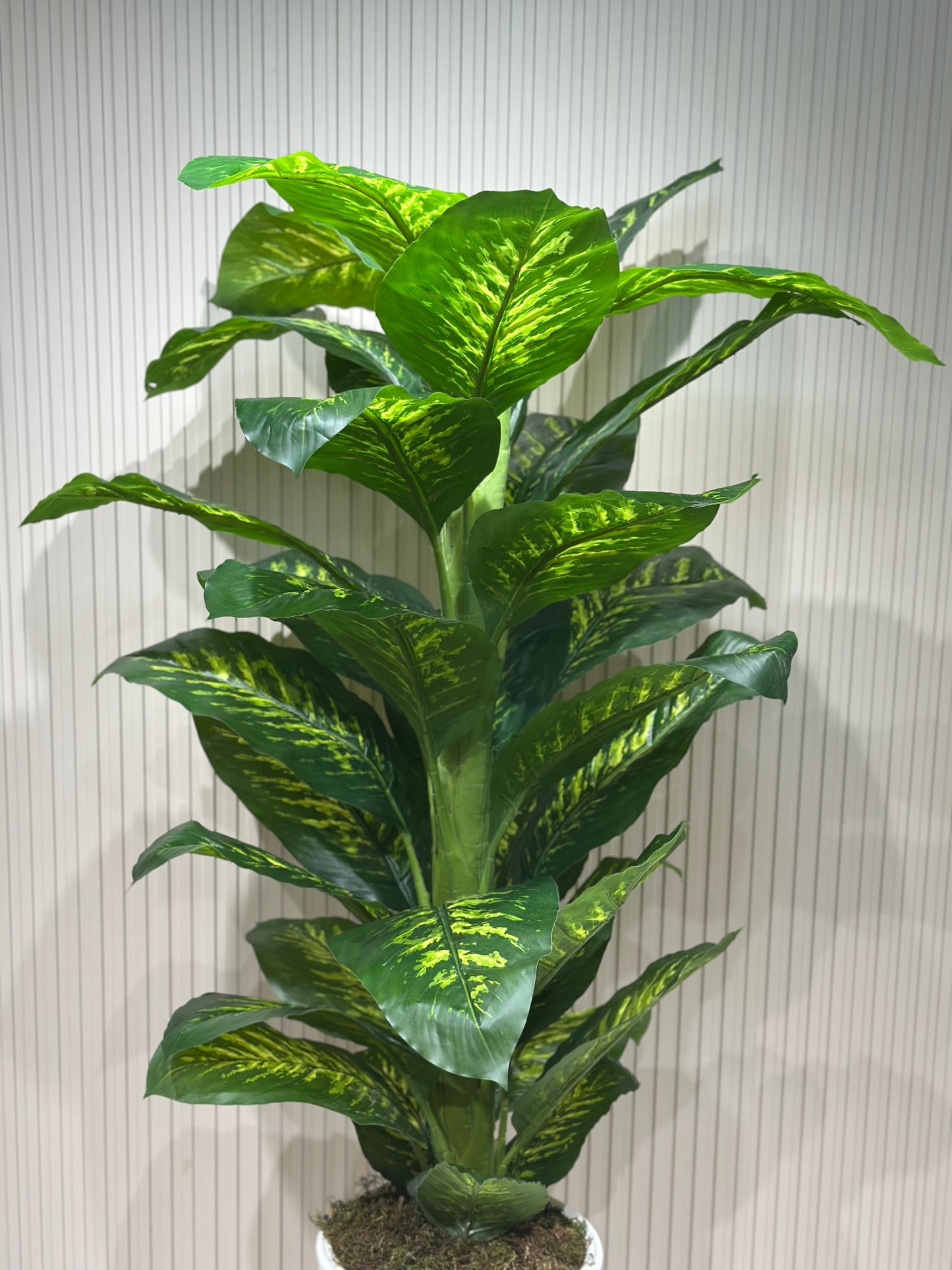 Büyük Difenbahya Bitkisi | Gerçek Görünümlü Yapay Salon Bitkisi 🌿