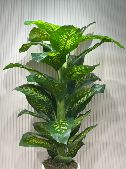 Büyük Difenbahya Bitkisi | Gerçek Görünümlü Yapay Salon Bitkisi 🌿