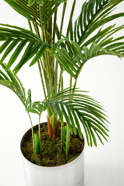 Yapay Areka Palmiyesi 180 cm – Gerçek Görünümlü İthal Dekoratif Ağaç | Premium Saksılı Model