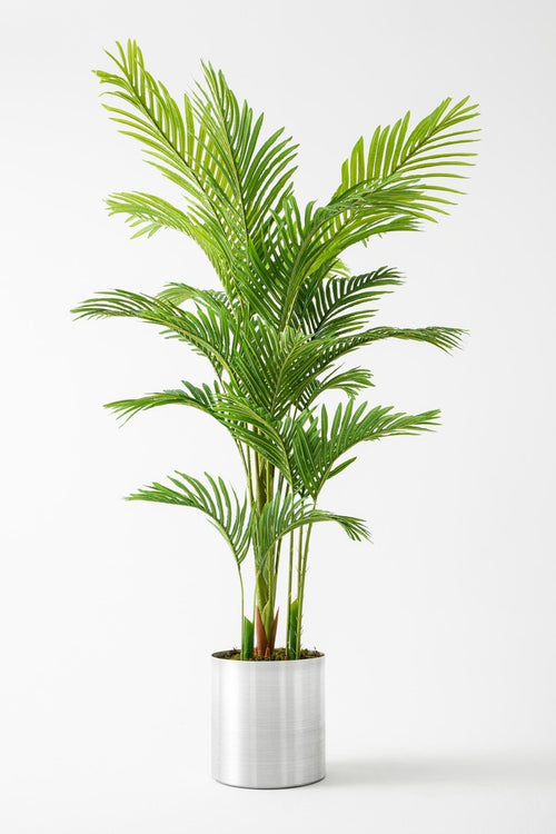 Yapay Areka Palmiyesi 180 cm – Gerçek Görünümlü İthal Dekoratif Ağaç | Premium Saksılı Model