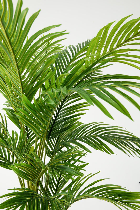 Yapay Areka Palmiyesi 180 cm – Gerçek Görünümlü İthal Dekoratif Ağaç | Premium Saksılı Model