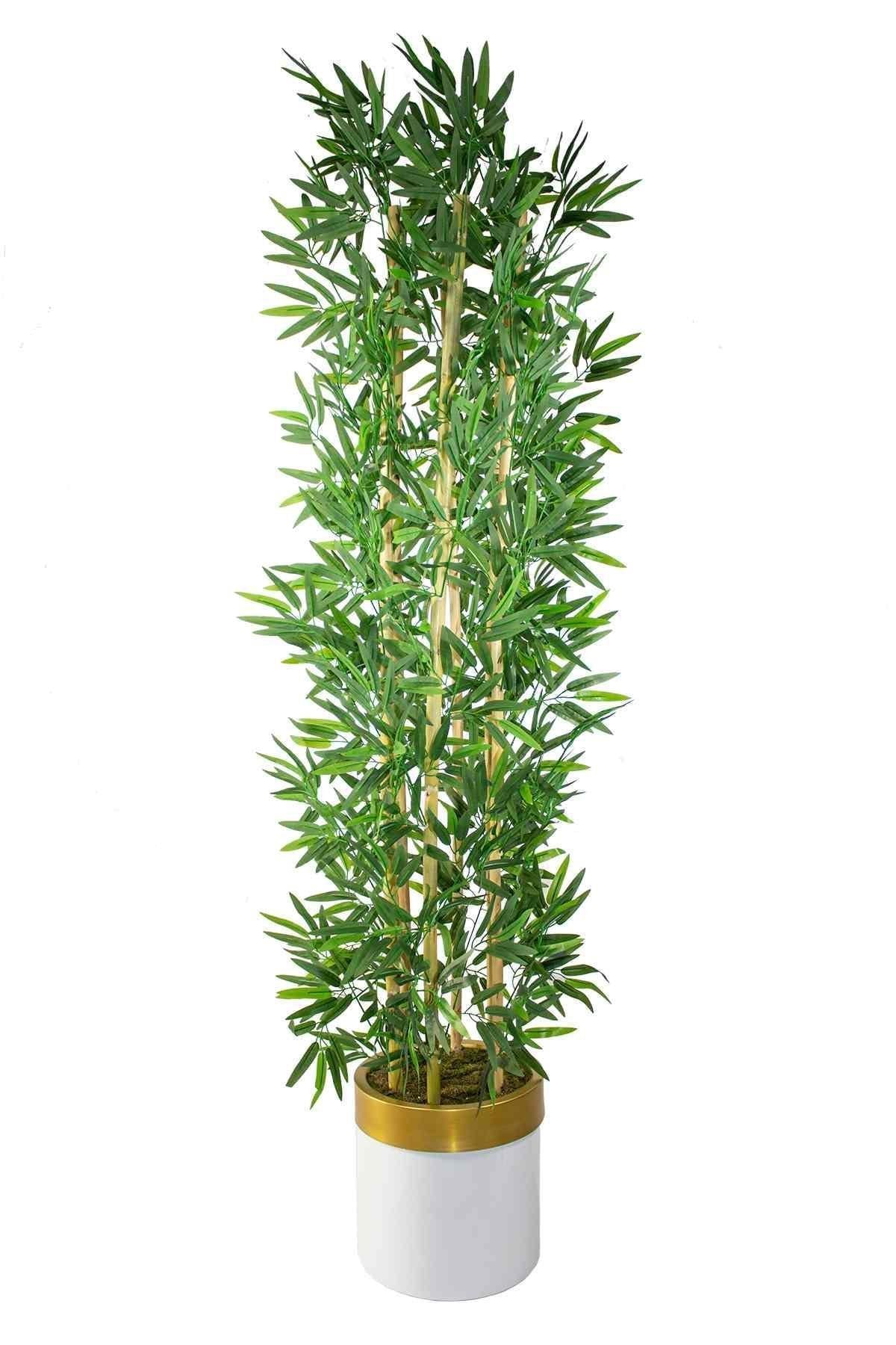 Yapay Bambu Ağacı 185 cm 🌿 | Beyaz-Gold Saksılı Premium Dekoratif Bitki