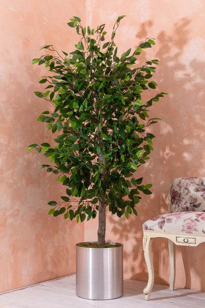 Yapay Benjamin Ağacı 180 cm – Gerçek Görünümlü İthal Dekoratif Ağaç | Premium Saksılı Model