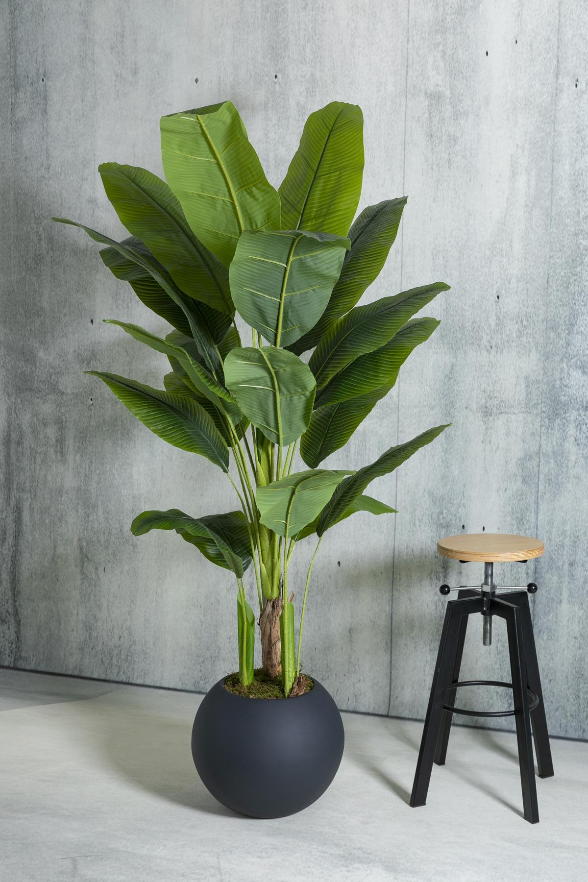 Yapay Muz Ağacı 180 cm – Gerçek Görünümlü Tropikal Dekoratif Ağaç | Premium Saksılı Model