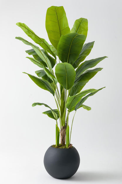 Yapay Muz Ağacı 180 cm – Gerçek Görünümlü Tropikal Dekoratif Ağaç | Premium Saksılı Model