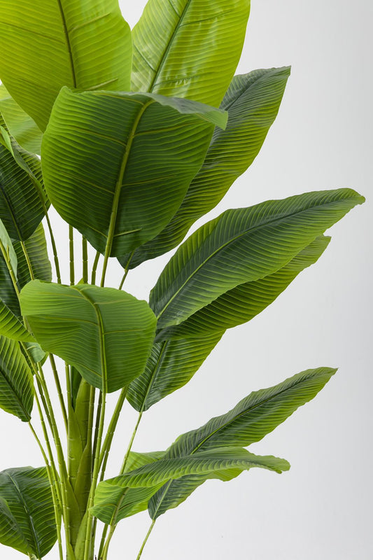 Yapay Muz Ağacı 180 cm – Gerçek Görünümlü Tropikal Dekoratif Ağaç | Premium Saksılı Model