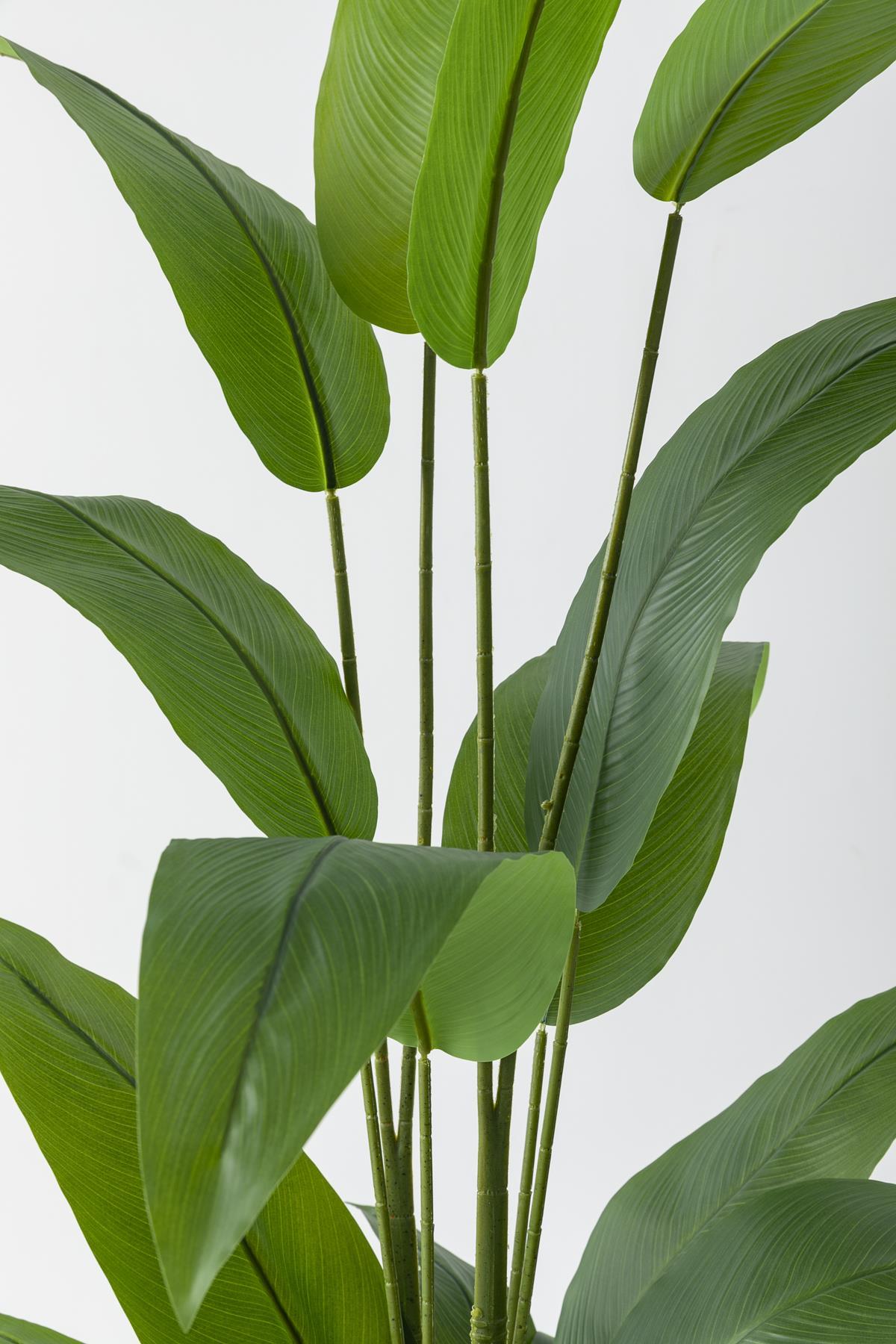 Yapay Starliçe Ağacı 180 cm 🌱 | Modern Fiber Saksılı Premium Dekor Bitkisi