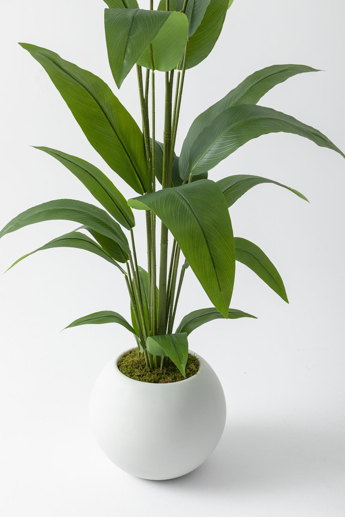 Yapay Starliçe Ağacı 180 cm 🌱 | Modern Fiber Saksılı Premium Dekor Bitkisi