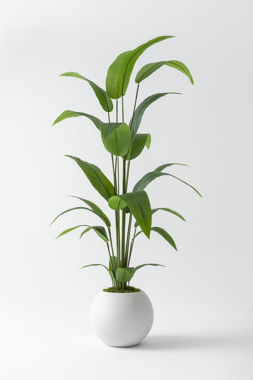 Yapay Starliçe Ağacı 180 cm 🌱 | Modern Fiber Saksılı Premium Dekor Bitkisi