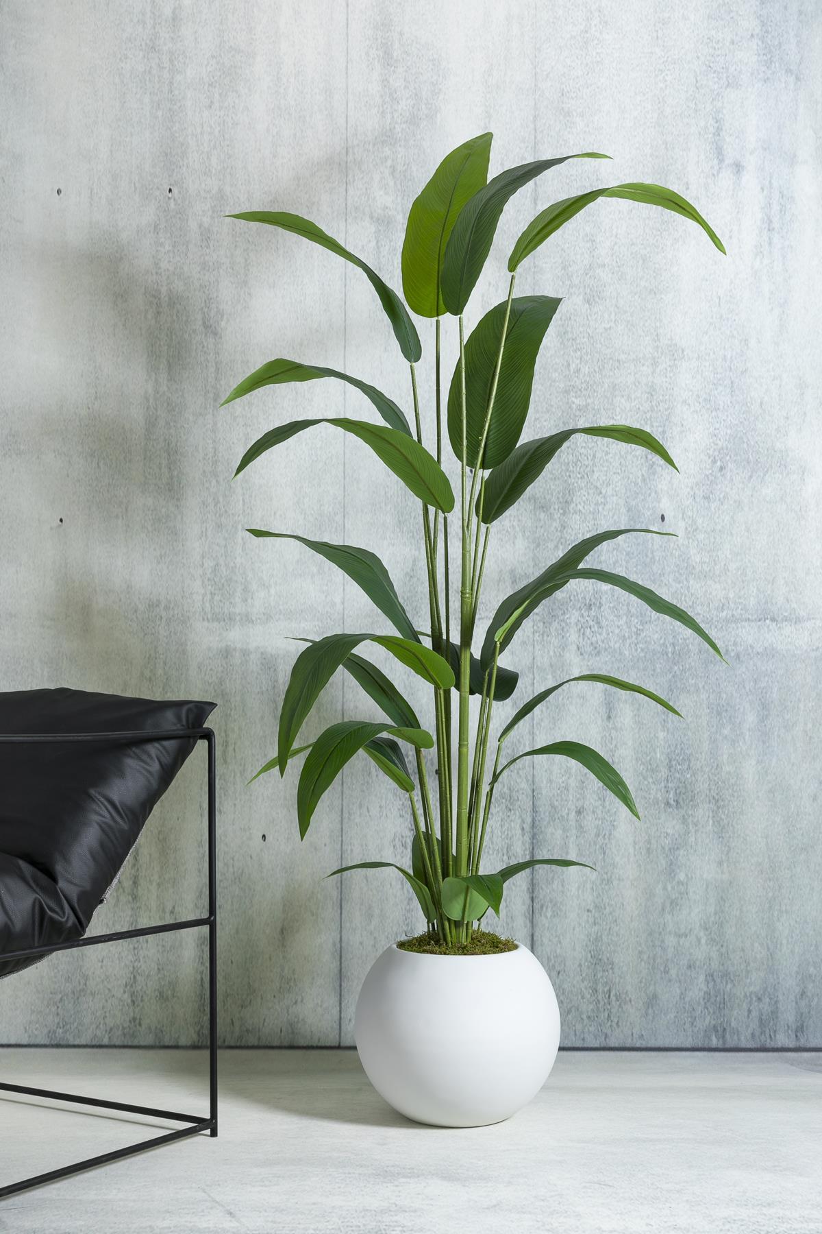 Yapay Starliçe Ağacı 180 cm 🌱 | Modern Fiber Saksılı Premium Dekor Bitkisi